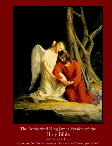 King James Illustrated Holy Bible Volume 3 of 3 cover